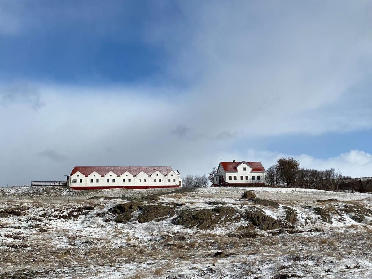 Helluland * Saudarkrokur
